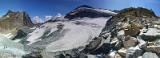 swiss-felskinn
